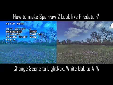 Micro Sparrow 2 = Micro Predator??? And my favorite settings - UCQ3OvT0ZSWxoVDjZkVNmnlw