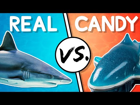We Try the Ultimate Real vs Candy Challenge
