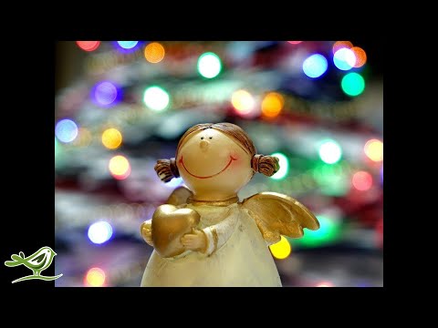 2 Hours of Christmas Piano Music | Relaxing Instrumental Christmas Songs Playlist - UCjzHeG1KWoonmf9d5KBvSiw