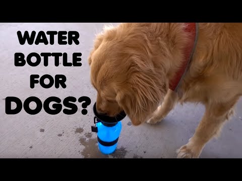 Aqua Dog Review: Water Bottle for Pets - UCTCpOFIu6dHgOjNJ0rTymkQ