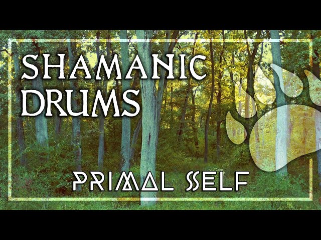 The Power of Shamanic Trance Music