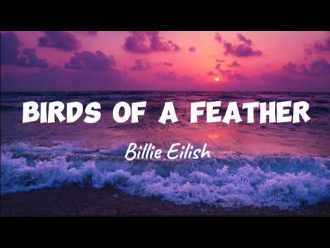 @BillieEilish _BIRDS OF A FEATHER (LYRICS)