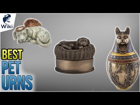 9 Best Pet Urns 2018 - UCXAHpX2xDhmjqtA-ANgsGmw