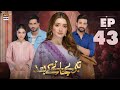 Teray Janay Kay Baad Episode 43  26 Sep 2024  ARY Digital Drama