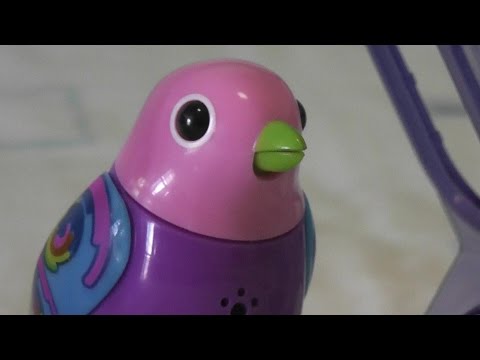 Live Pet Toy Birds - UCsFctXdFnbeoKpLefdEloEQ