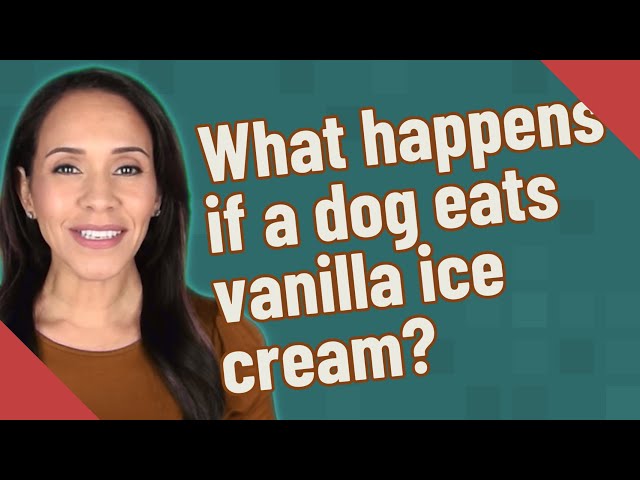 Can Dogs Eat Vanilla Ice Cream? - HayFarmGuy