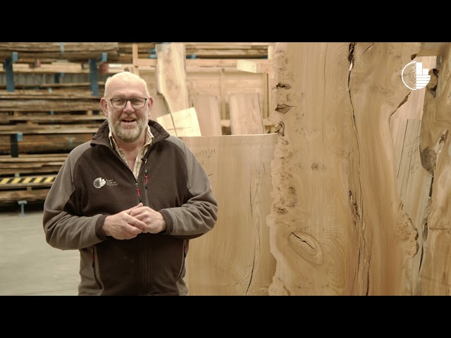 is-elm-good-for-woodworking