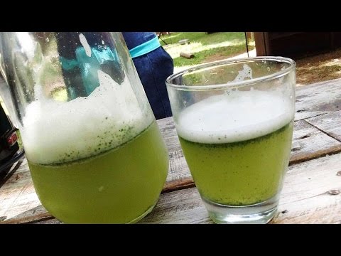 Limonada casera con menta y jengibre - UCb8W2JPNwMtV4xA0LFb3LUw