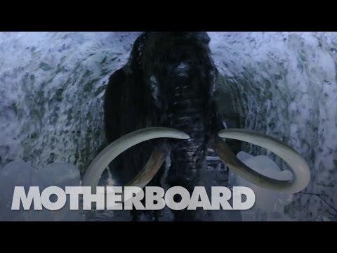 The Mission to Resurrect the Woolly Mammoth - UCB6PV0cvJpzlcXRG7nz6PpQ