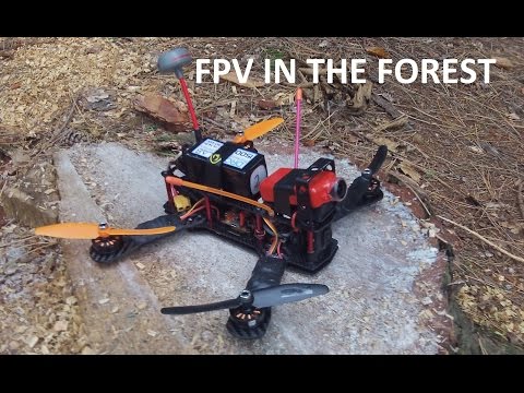 FPV In The Forest Special Edition - UCtpl0iFEzsrT9BW4ig-WBQA