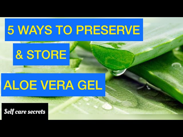 How to Preserve Aloe Vera for Long-Term Use