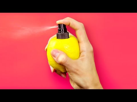 30 GREAT KITCHEN HACKS || DIY LEMON SPRAY  - UC295-Dw_tDNtZXFeAPAW6Aw