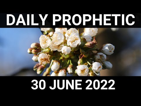 Daily Prophetic Word 30 June 2022 2 of 4