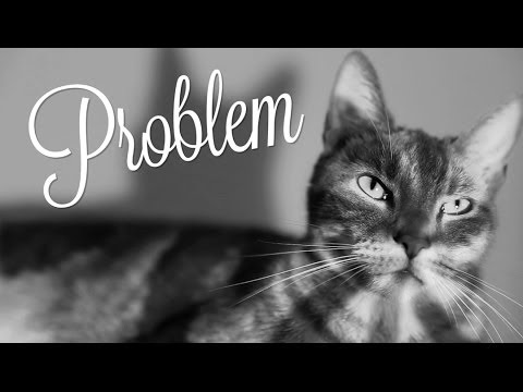 Ariana Grande - Problem (Cat Version) - UCPIvT-zcQl2H0vabdXJGcpg