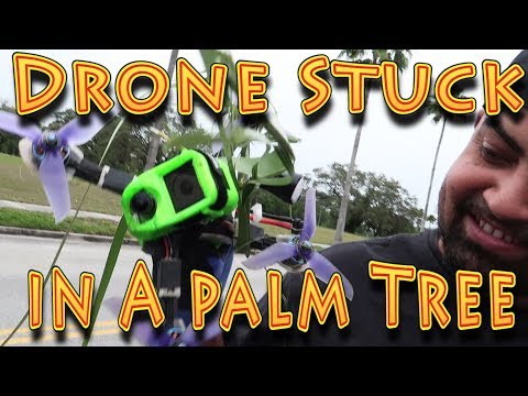 Drone Stuck in a Palm Tree!!! (05.14.2018) - UC18kdQSMwpr81ZYR-QRNiDg