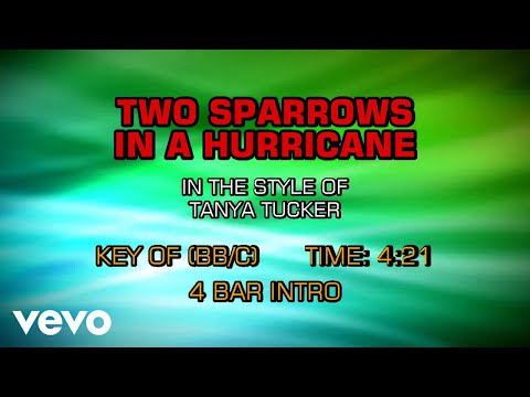 Tanya Tucker - Two Sparrows In A Hurricane (Karaoke)