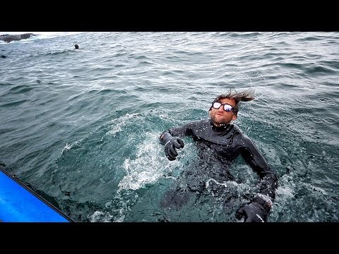 Surfing with GREAT WHITE SHARKS at DUNGEONS SOUTH AFRICA - UCtinbF-Q-fVthA0qrFQTgXQ