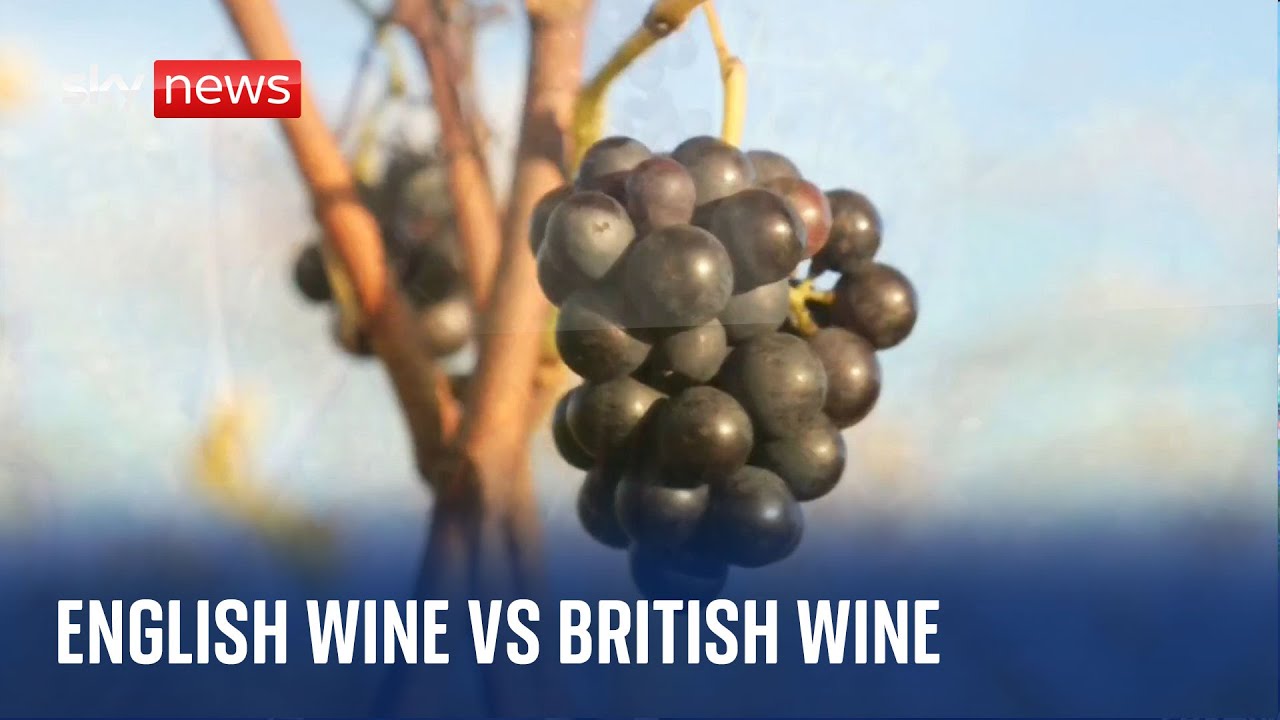 ‘Brexit has provided the opportunity to help British vineyards thrive’ – Therese Coffey