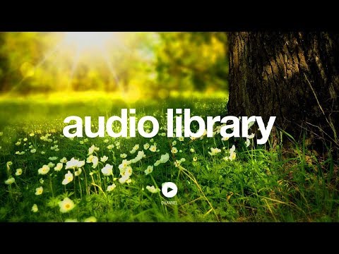 Tracks Of My Fears - John Deley and the 41 Players (No Copyright Music) - UCht8qITGkBvXKsR1Byln-wA