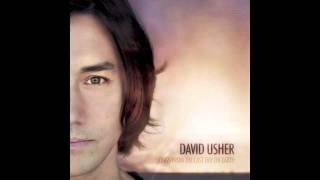 City Of Light - David Usher