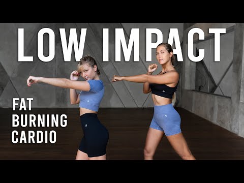 40 MIN LOW IMPACT CARDIO WORKOUT | Fat Burning For Beginners | No Equipment, At Home