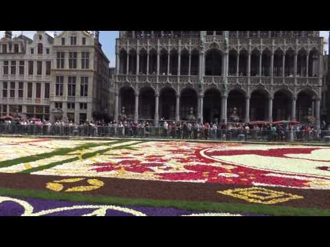Flower carpet, Brussels Grand'Place in 4K (UHD) - UC7UbqNSE-Jt09bUTFdkeI4w