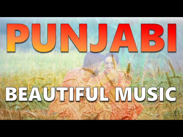 Instrumental Music for Your Punjabi Wedding