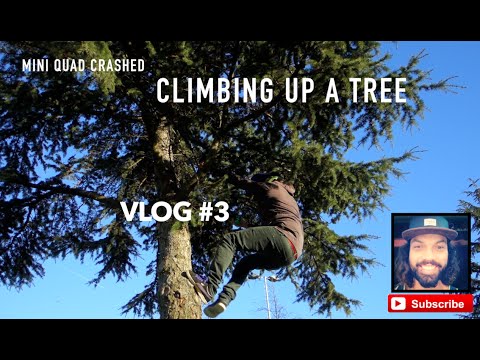 My mini quad is stuck in a tree | Vlog #3 - UCadJtrKTHmlEytmGmpmXYQg