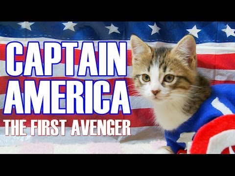 Captain America: The First Avenger (Cute Kitten Version) - UCPIvT-zcQl2H0vabdXJGcpg