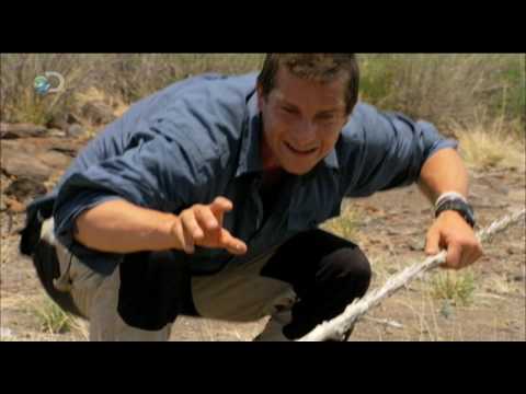 Man vs. Wild - Texas - Rattlesnake Encounter - UCqOoboPm3uhY_YXhvhmL-WA