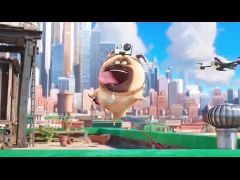 GoPro: The Secret Life of Pets Short Film Teaser - UCqhnX4jA0A5paNd1v-zEysw