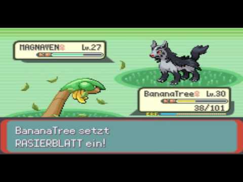Let's Battle Together Pokemon Smaragd [#019] - Klein but Fein - [Deutsch und HD]