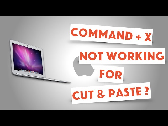 How to Cut and Paste on a Mac