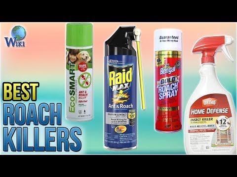 10 Best Roach Killers 2018 - UCXAHpX2xDhmjqtA-ANgsGmw