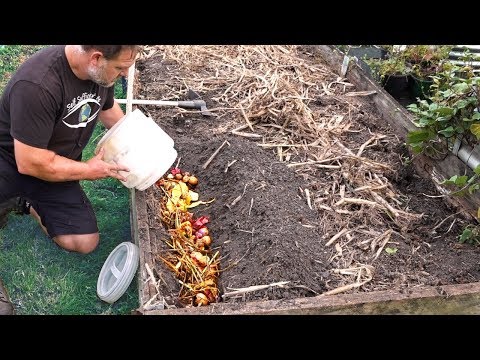 What Happens When You Bury Kitchen Scraps in the Garden? - UCJZTjBlrnDHYmf0F-eYXA3Q