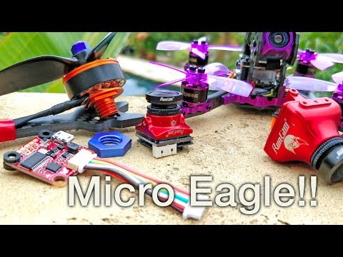 Micro Eagle, New Motor Mounts, Lizard 105S, New FC, Carbon Kevlar... - UC4yjtLpqFmlVncUFExoVjiQ