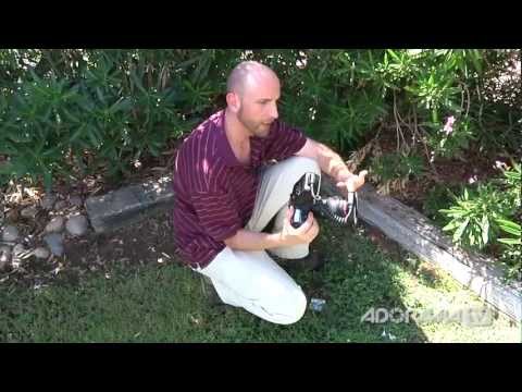 Macro Photography Techniques - Digital Photography 1 on 1 (#31) Video - UC8Pksdbj37CdE00kmE7Z1dw