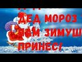 ДЕД МОРОЗ ЭЙ ТЫ НАМ ЗИМУШКУ ПРИНЕС СКАЧАТЬ БЕСПЛАТНО ДЕД МОРОЗ ЭЙ ТЫ НАМ ЗИМУШКУ ПРИНЕС СКАЧАТЬ БЕСПЛАТНО