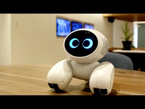 Meet Domgy the pet robot - UCCjyq_K1Xwfg8Lndy7lKMpA