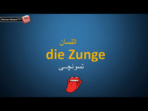 اجزاء و اعضاء الجسم - الجزء الأول - تعلم اللغة الالمانية مع اللفظ der Körper