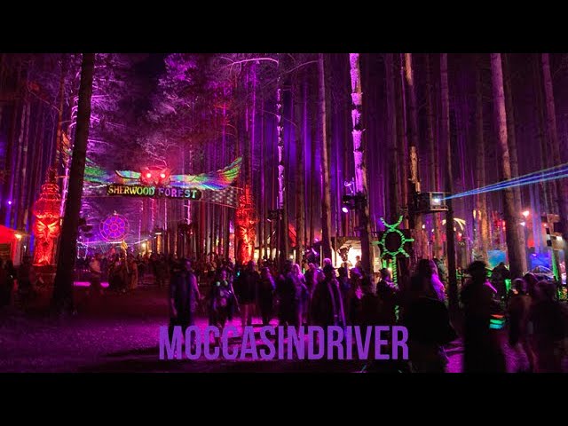 Electronic Forest Music Festival is a Must-See Event
