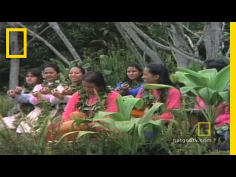 Hula | National Geographic - UCpVm7bg6pXKo1Pr6k5kxG9A