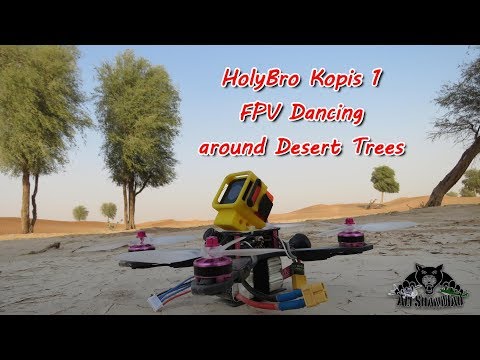 HolyBro Kopis 1 FPV dancing With Lonely Desert Trees - UCsFctXdFnbeoKpLefdEloEQ