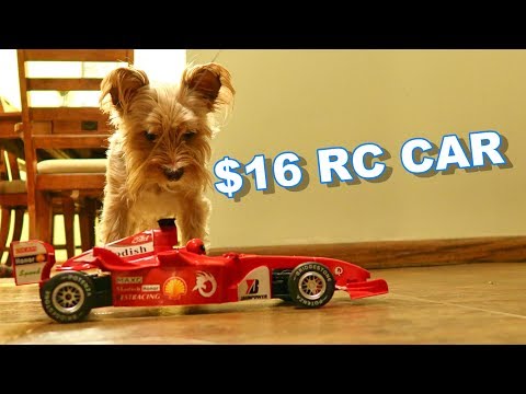 $16 RTR F1 RC Car Worth it? - F1 1/18th Formula Racing Car - TheRcSaylors - UCYWhRC3xtD_acDIZdr53huA