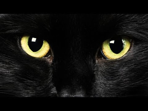 Top 10 Superstitions - UCaWd5_7JhbQBe4dknZhsHJg