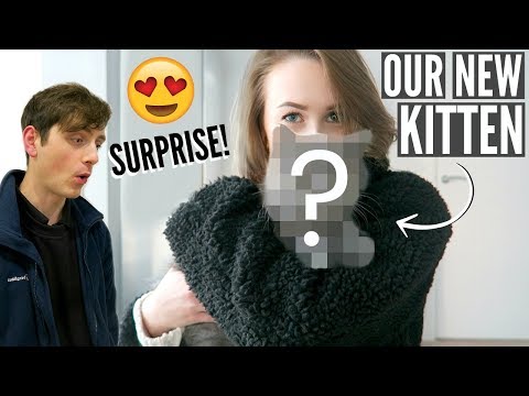 SURPRISING MY BOYFRIEND WITH A KITTEN! | Sophie Louise - UChelG_sYPLMv-HIBVGpO6DQ