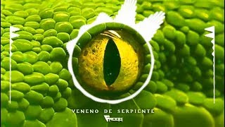 Frogg - Veneno de Serpiente (original mix)