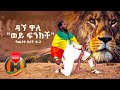 Dagne Walle - Wey Finkich (Yecheneke Elet 2)    - New Ethiopian Music 2020 (Official Video)