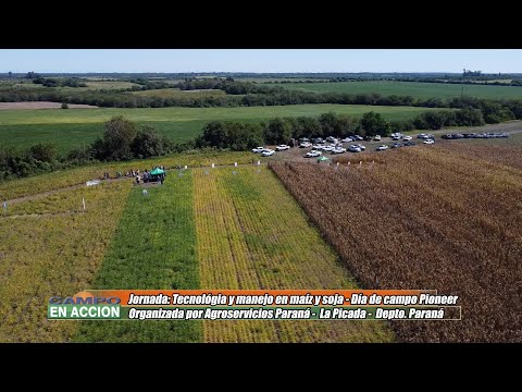 Elbio Valentin - Titular Agroservios Paraná SRL - Día a Campo Pioneer en La Picada, Entre Rios