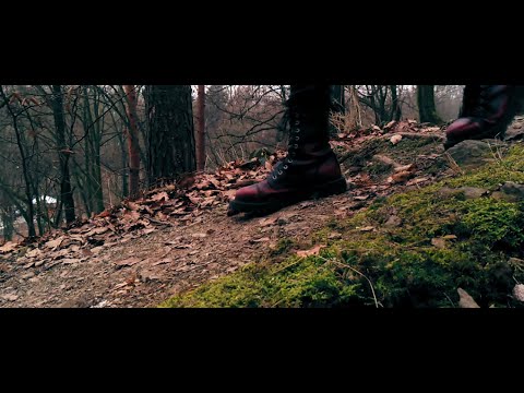 Winter Walk | Zenfone 4 Video